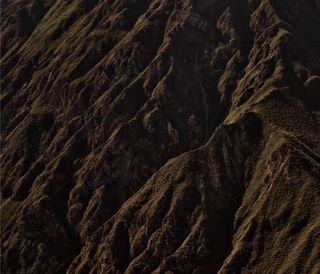 Some trees in the rising sun in Peru, 2011